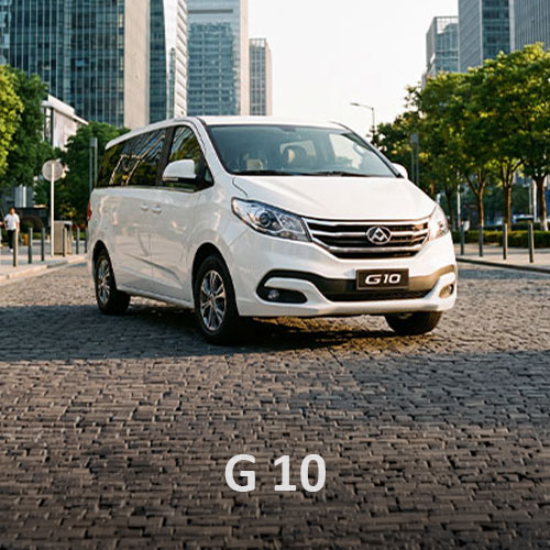 G10