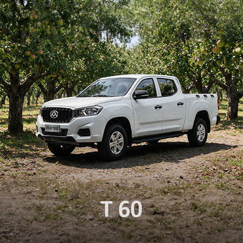 T60